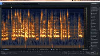 RX 8 Introduction amp Spectrogram Basics [upl. by Calli9]