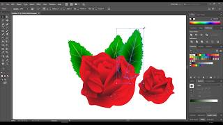 Illustrator Roses creating in Adobe illustrator CC Tutorial [upl. by Kenwee]