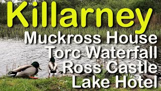 Killarney Ireland excursions to Ross Castle Muckross House Torc Falls Lake Hotel [upl. by Normy]