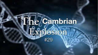 The Cambrian Explosion [upl. by Lirva506]