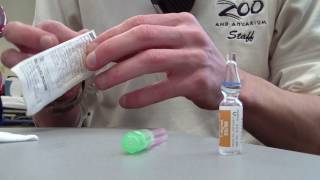 How to Prepare Epinephrine 11000 [upl. by Merline]