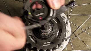 Shimano Nexus Alfine 78 Gear cassette Installing and adjusting [upl. by Miner43]