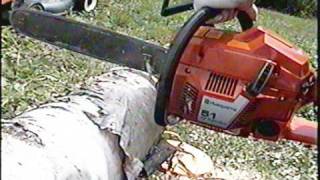 Husqvarna 51 Chainsaw Start Up amp TEST CUT [upl. by Fruin]