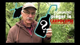 COMMENT PIÉGER LE CARPOCAPSE [upl. by Terchie]