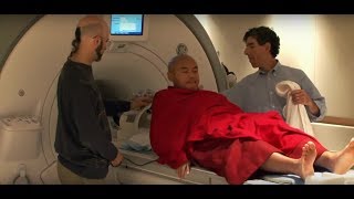 Meditations Impact on the Brain  Documentary Clip [upl. by Bertram]