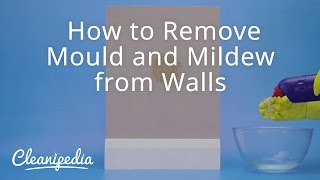 How to Remove Mould and Mildew from Walls [upl. by Alikahs525]