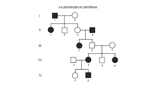 La généalogie en génétique [upl. by Ashlie]