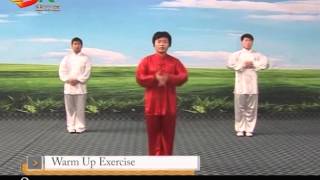 Chen style Tai Chi 18 01 [upl. by Nibur]