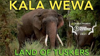 Kala Wewa Sri Lanka  Land of Tuskers [upl. by Coffeng]