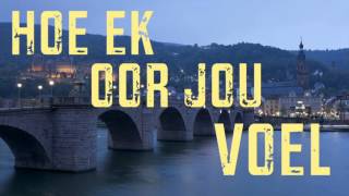 Dewald Wasserfall  Ek en Jy Liriekvideo [upl. by Annayehc]