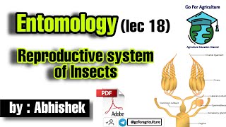 Reproductive system of insects • Entomology lec 18 • Go For Agriculture Education icar bhu ibps [upl. by Winn249]