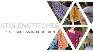 Learn to knit your First Top Down Cardigan [upl. by Neitsirk300]