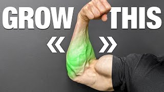 How to Get Jacked Forearms CONTROVERSIAL [upl. by Bridge156]