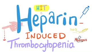 HeparinInduced Thrombocytopenia HIT  A Comprehensive Explanation [upl. by Nitsir]