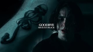 Regulus Black  Goodbye [upl. by Enyak366]