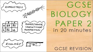 All of BIOLOGY PAPER 2 in 20 mins  GCSE Science Revision Mindmap 91 AQA [upl. by Reinhart]