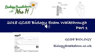 GCSE 2018 Biology Exam Paper 1  Part 1 [upl. by Ilyak]