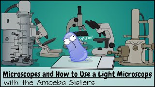 Microscopes and How to Use a Light Microscope [upl. by Ackerley]