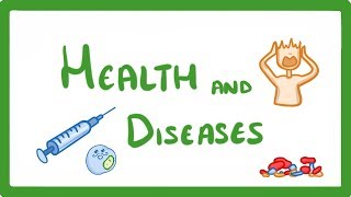 GCSE Biology  Health and Disease 33 [upl. by Ortrude978]