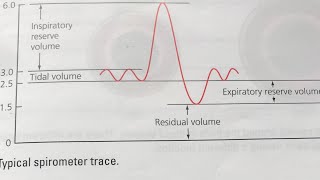 GCSE PE Lung volumes Spirometer trace [upl. by Rimma]