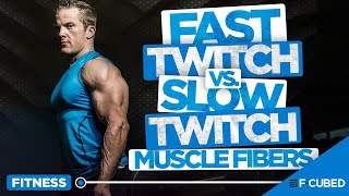 Fast Twitch vs Slow Twitch Muscle Fibers Muscle Fibers Explained [upl. by Letnahc]