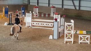 Fjordhorse  Showjumping 1m [upl. by Gabi]