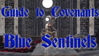 Dark Souls 2  A Guide to Covenants Blue Sentinels [upl. by Asilim]