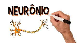 ✅ NEURÔNIOS e NEUROTRANSMISSORES  Estrutura [upl. by Gnok724]