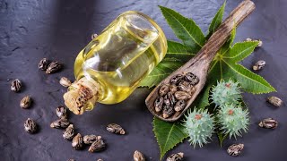 Homemade Castor Oil Made From Scratch [upl. by Mad647]