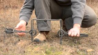 Fur Trapping  How to set a Conibear Trap [upl. by Ecarret795]