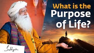 What is the Purpose of Life  Sadhguru [upl. by Demmahom]