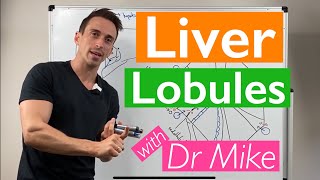 Key Biliary Tract  Cholestatic Diseases amp Labs Explained [upl. by Ytsihc]