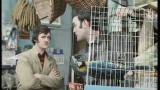 Monty Python The Parrot Sketch amp The Lumberjack Song movie versions HQ [upl. by Ydnys]