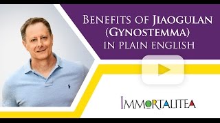 Benefits Of Jiaogulan Gynostemma in Plain English [upl. by Floro]