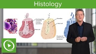 Histology – Course Preview  Lecturio [upl. by Attenweiler]