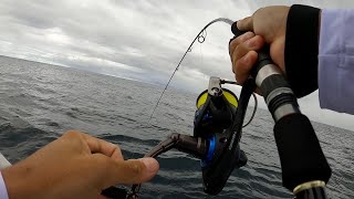 Técnica de Pesca SÚPER EFECTIVA jigging [upl. by Pals]