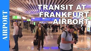 TRANSIT WALK AT FRANKFURT Airport FRA Terminal 1  Connection Flight Transfer Arriving amp Departing [upl. by Namor]