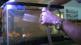 10 Gallon Aqarium Cleaning Tutorial Episode 5 [upl. by Ciredec]