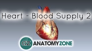 Blood supply to the heart  PART 2  Anatomy Tutorial [upl. by Ayrolg]