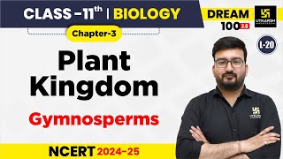 Class 11 Biology Chapter 3  Plant Kingdom  Gymnosperms  L20  Shubham Sir [upl. by Neemsay216]