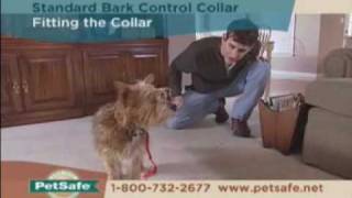 PetSafe Standard Bark Control Collar Tips [upl. by Vittoria]