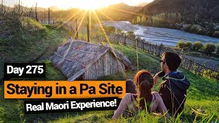 🔥 A Real Maori Experience Staying on a Maori Pa Site – New Zealands Biggest Gap Year [upl. by Aloeda]