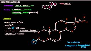 Lipids Part 11 of 11  Sterols  Steroids [upl. by Elohcan]