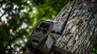 Cuddeback CuddeLink Cellular Trail Cam Review [upl. by Shamrao]