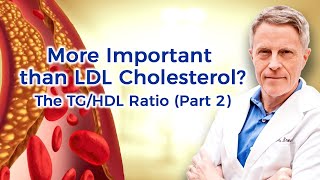 TriglycerideHDL Ratio  A Better CV Risk Predictor than LDL Part 2 [upl. by Naejamron896]