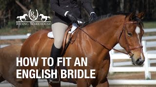 How To Fit an English Bridle on Your Horse [upl. by Alded420]