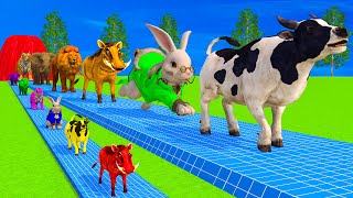 Paint amp Animals CowGorrilaElephantPigLionRabbitTigerFountain Crossing Transformation Cartoon [upl. by Leilani192]