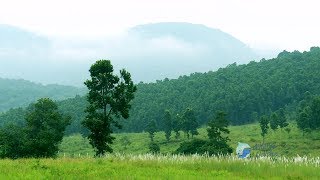 SIMILIPAL Wildlife Sanctuary [upl. by Euqinim480]