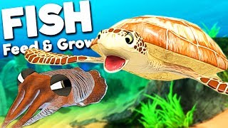 GIANT SEA TURTLE VS NEW CUTTLEFISH  Feed And Grow Fish SURVIVAL Gameplay [upl. by Oicam]