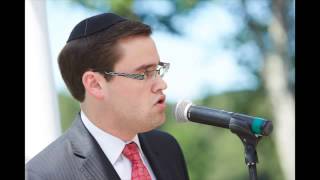 Aaron Tessler sings Sheva Brachot [upl. by Neal]